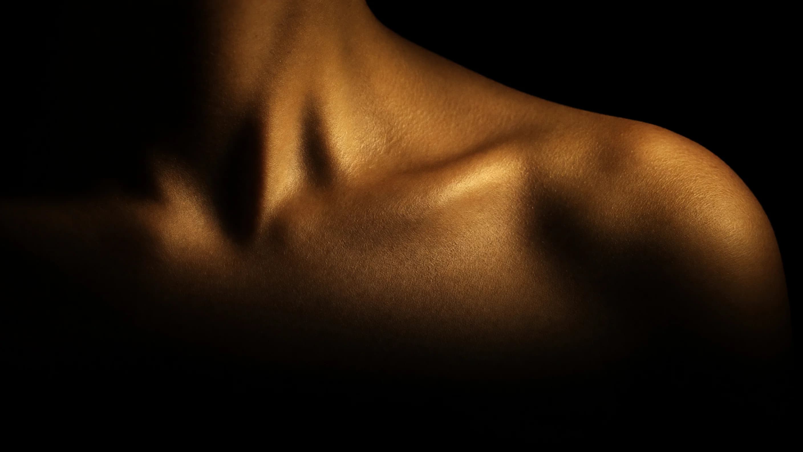 A collarbone and the hollow of a throat in warm light